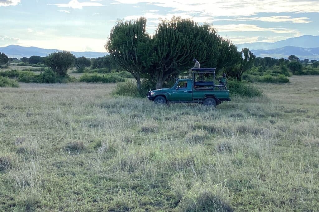 queen elizabeth national park safari voertuig savanne