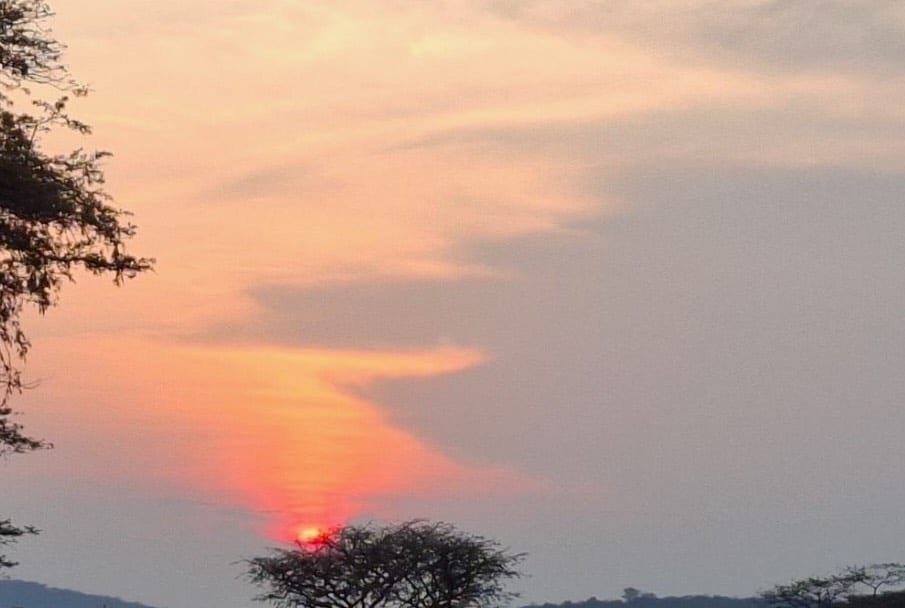 zonsondergang-oeganda-savanne