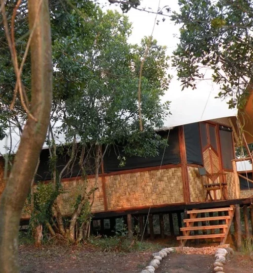 Bush-Lodge-Banda