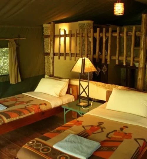 Kibale-Forest-Camp-Safari-twin-Tent