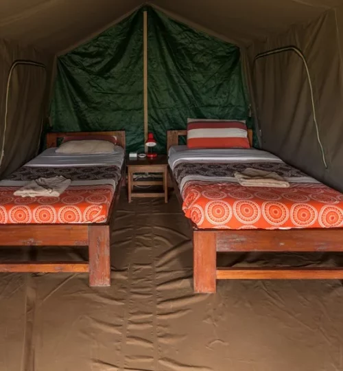 Kibale-Forest-Camp-Tent-twin