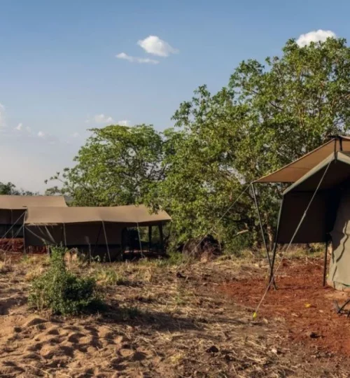 Kidepo-Savannah-Lodge-Tent
