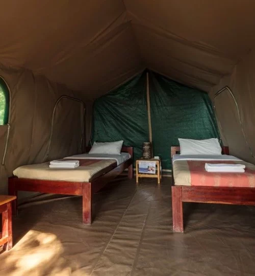 The-Bush-Lodge-twin-tent