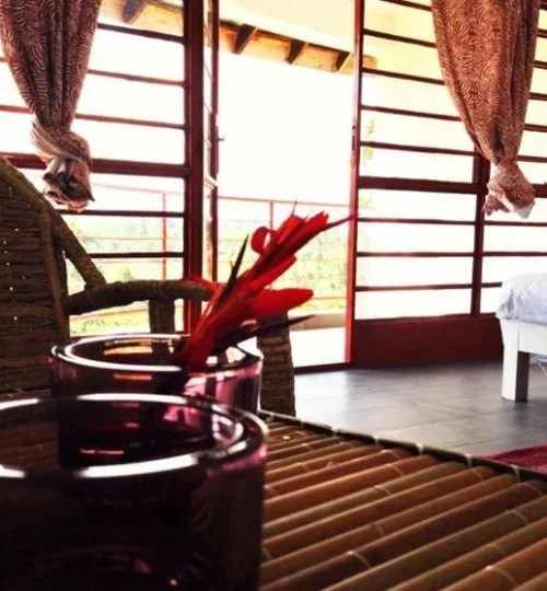 Koi koi koi-koi-cultural-village-room