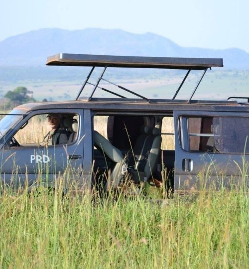 safari voertuig Oeganda